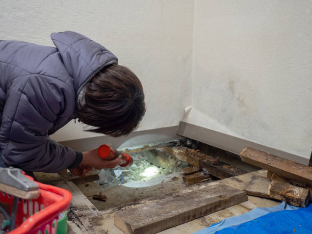 Best Real Estate Mold Inspection  in Ken Caryl, CO