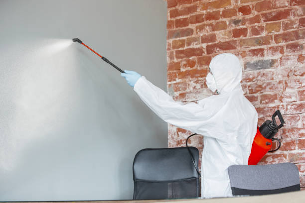 Best Asbestos and Lead Testing During Mold Inspection  in Ken Caryl, CO