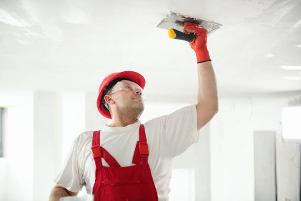 Best Mold Odor Removal Services  in Ken Caryl, CO