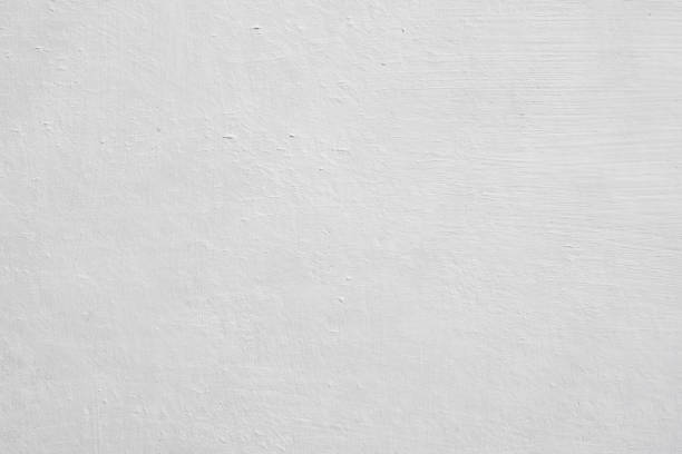 Professional Mold Removal in Ken Caryl, CO