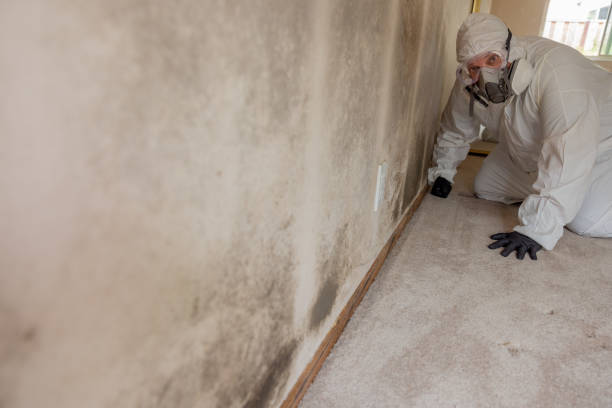 Best Residential Mold Inspection & Testing  in Ken Caryl, CO