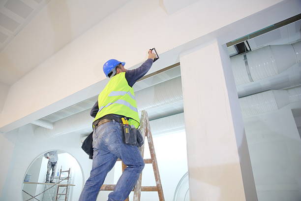 Best Attic Mold Removal  in Ken Caryl, CO