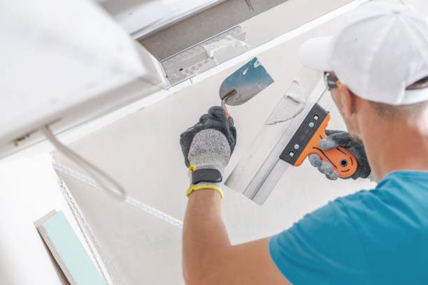 Forensic Mold Investigation in Ken Caryl, CO